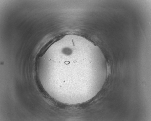 X0000066940291200604142031