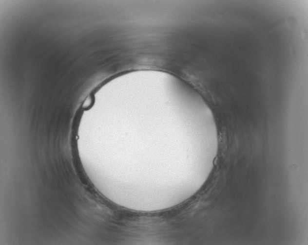 X0000066940292200604142031