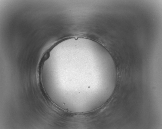 X0000066940294200604142031