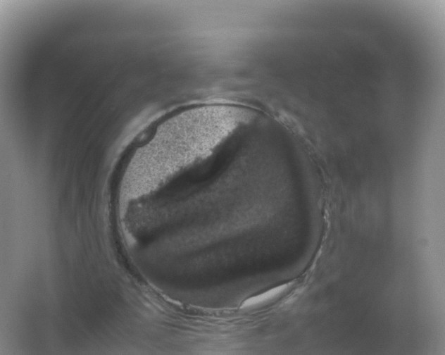 X0000066940295200604142031