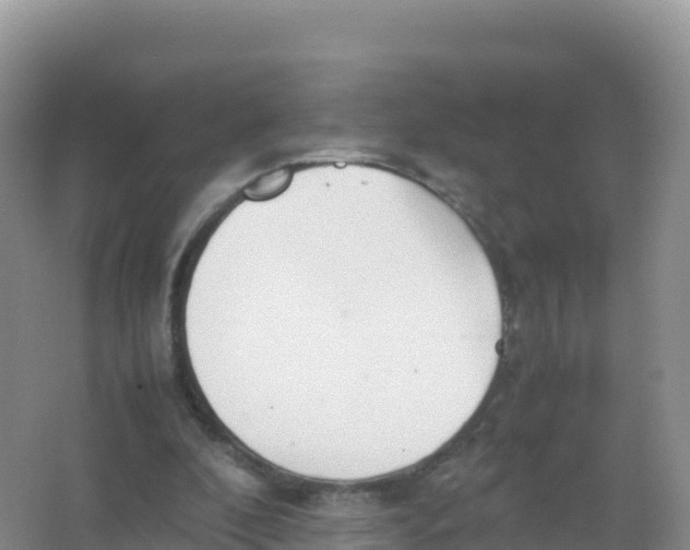 X0000066940296200604142030