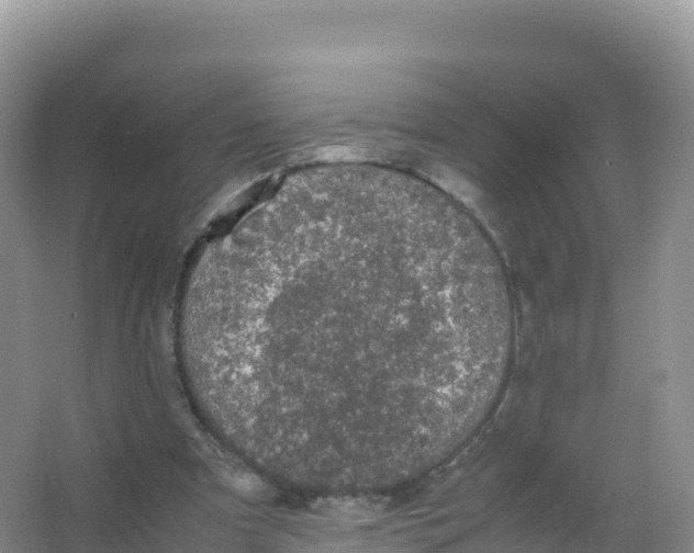 X0000066940297200604142030