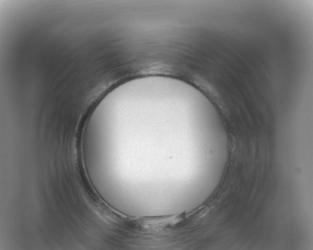 X0000066940298200604142030