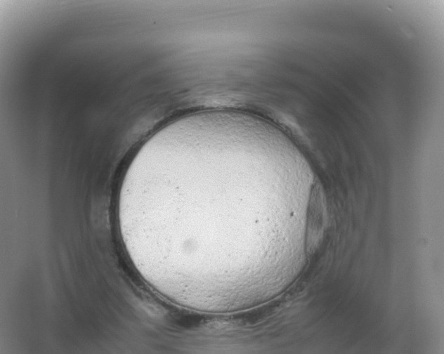 X0000066940299200604142030