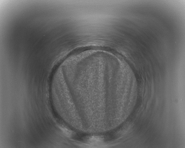 X0000066940303200604142030