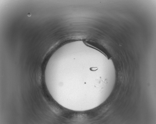 X0000066940304200604142030