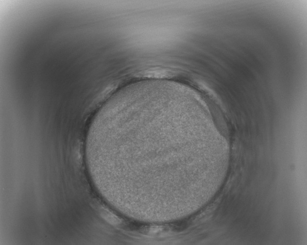 X0000066940305200604142030