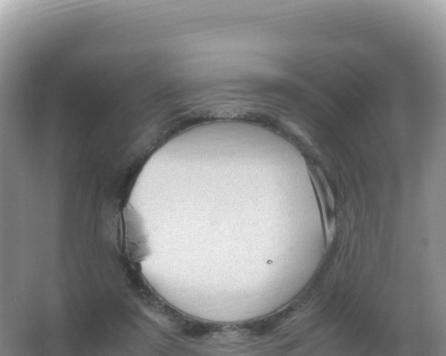 X0000066940307200604142030