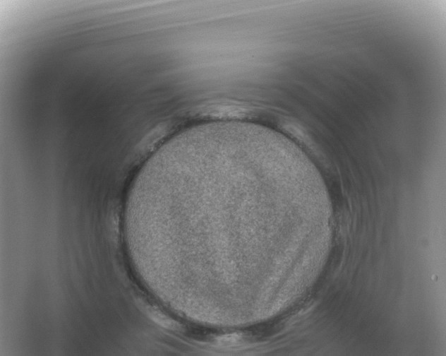 X0000066940309200604142030