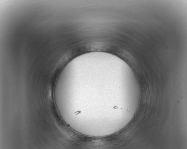 X0000066940310200604142030