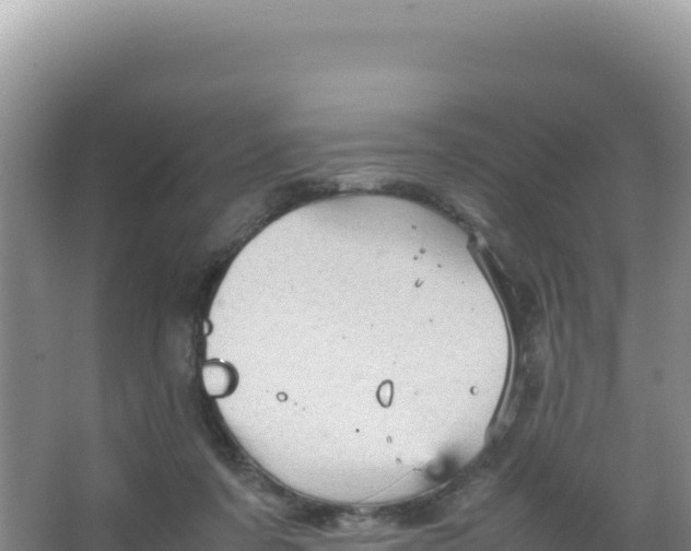 X0000066940311200604142030