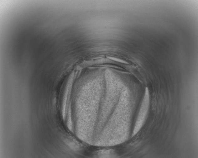 X0000066940314200604142030