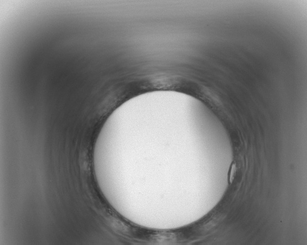 X0000066940317200604142030