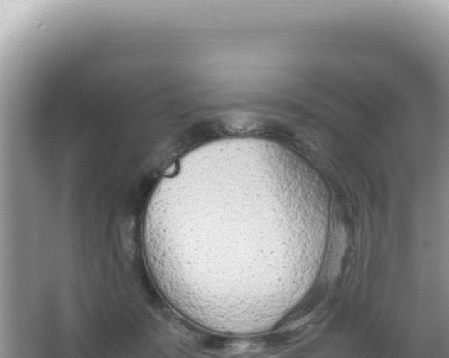 X0000066940319200604142030