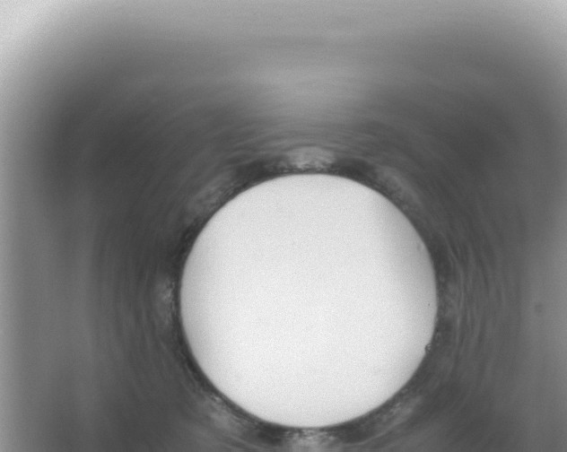 X0000066940321200604142030