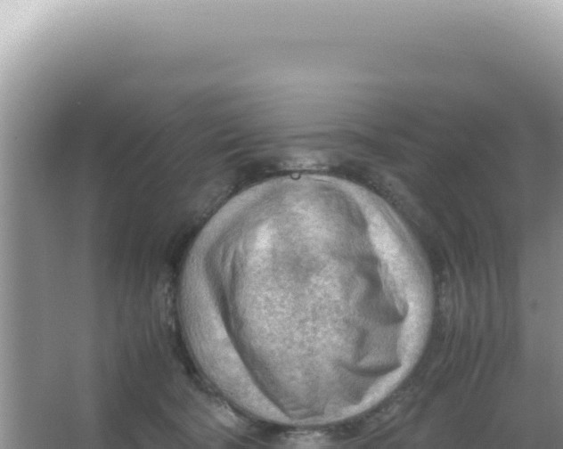 X0000066940322200604142030