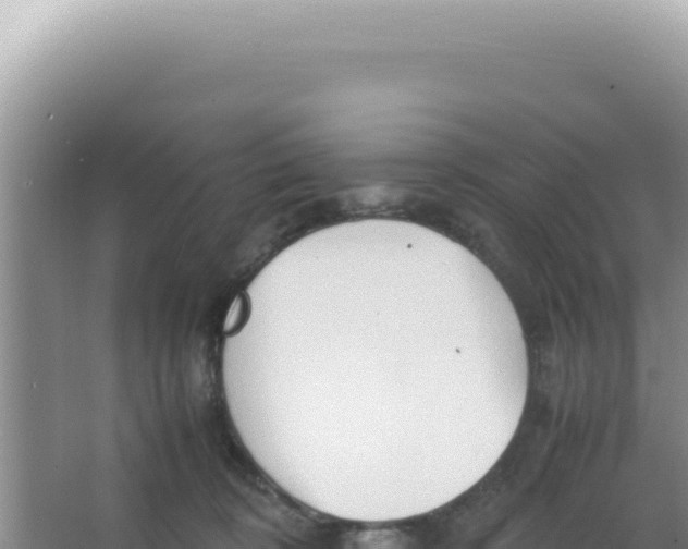 X0000066940324200604142030