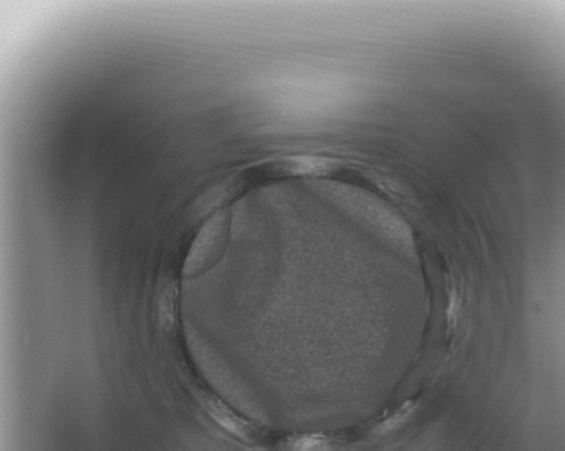 X0000066940325200604142030