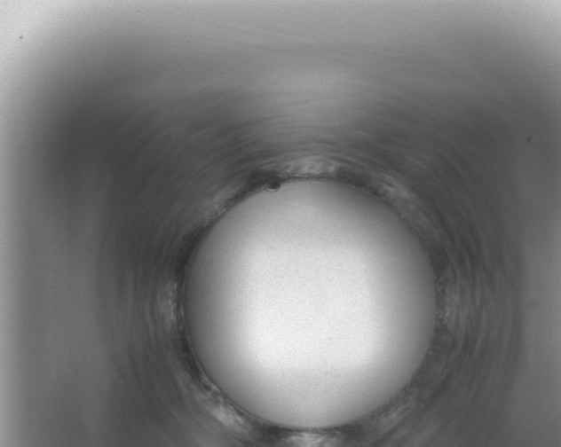 X0000066940326200604142030