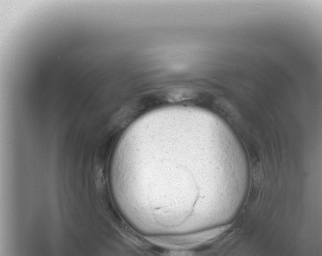 X0000066940327200604142030