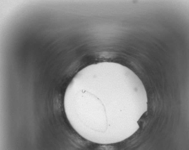 X0000066940328200604142030