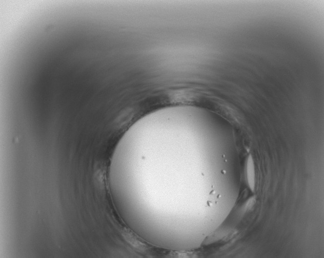 X0000066940329200604142030