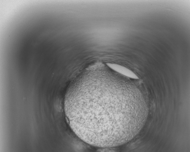 X0000066940331200604142030