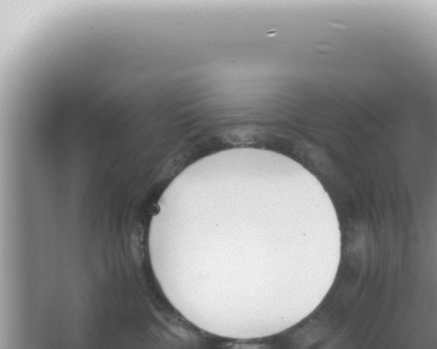 X0000066940332200604142030