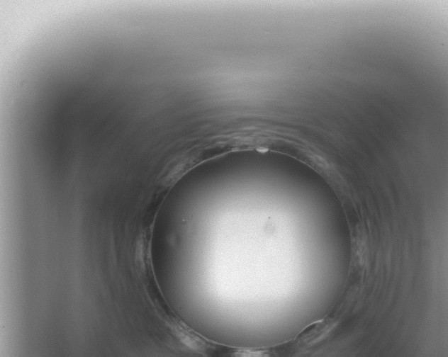 X0000066940333200604142030