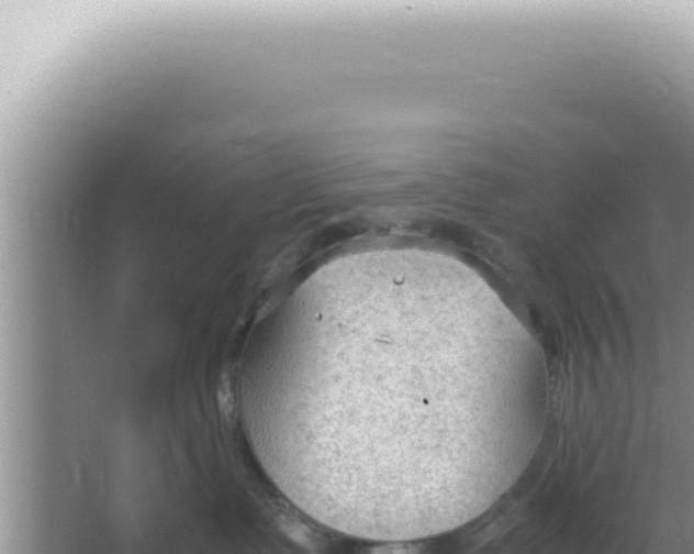 X0000066940335200604142030