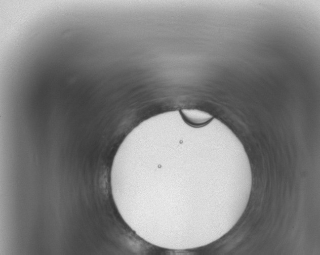 X0000066940336200604142030