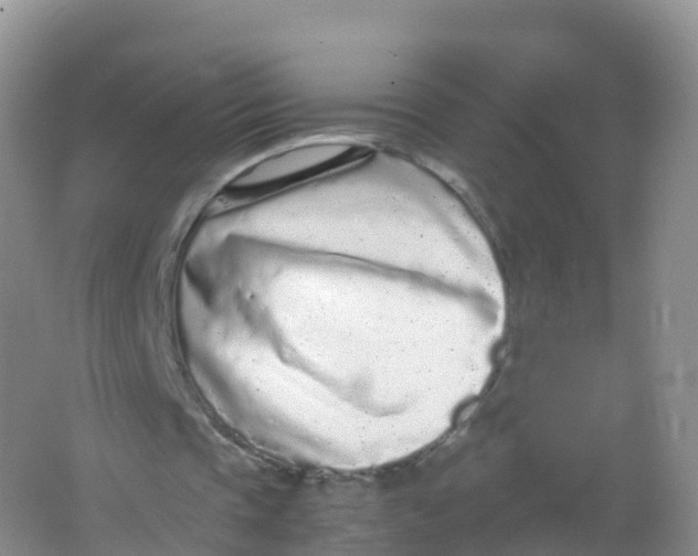 X0000066940337200604142029