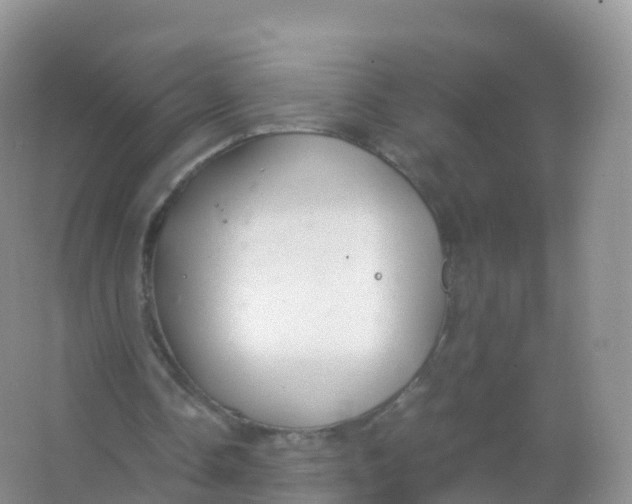 X0000066940338200604142029