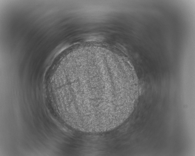 X0000066940339200604142029