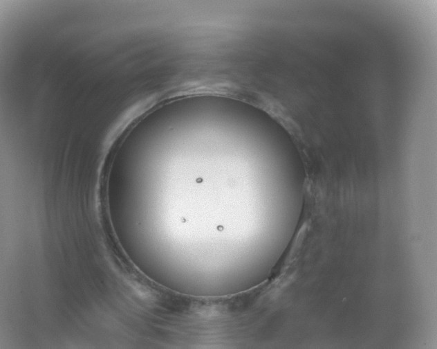 X0000066940340200604142029