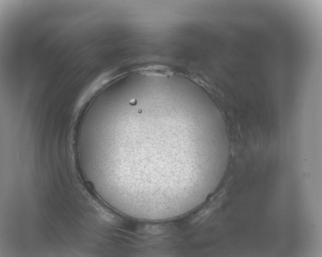 X0000066940341200604142029