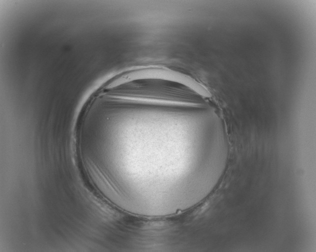 X0000066940342200604142029