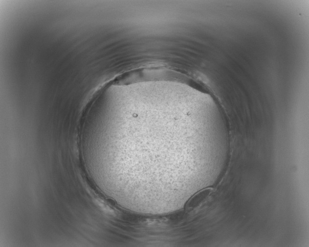 X0000066940345200604142029