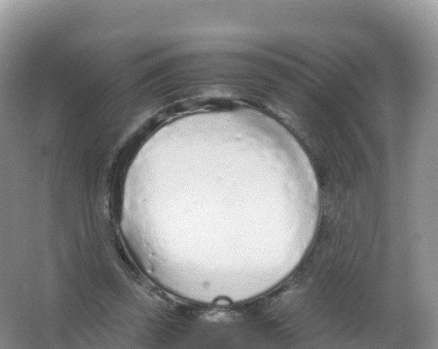 X0000066940347200604142029