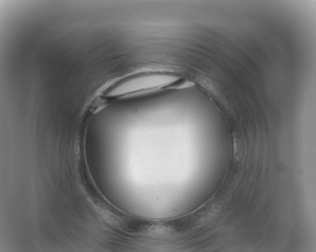 X0000066940348200604142029