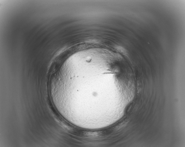 X0000066940349200604142029