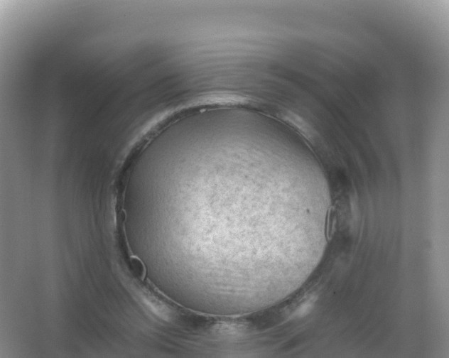 X0000066940350200604142029