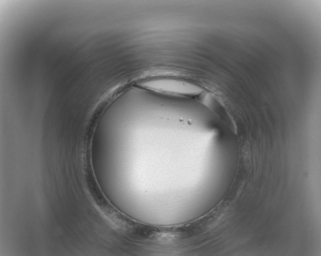 X0000066940352200604142029