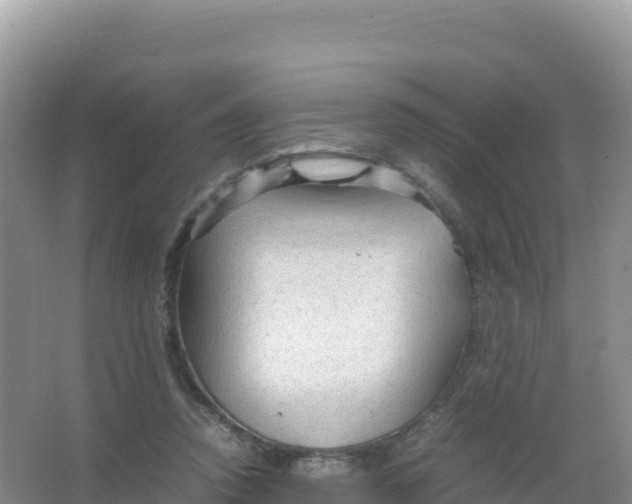 X0000066940354200604142029