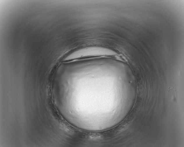 X0000066940355200604142029