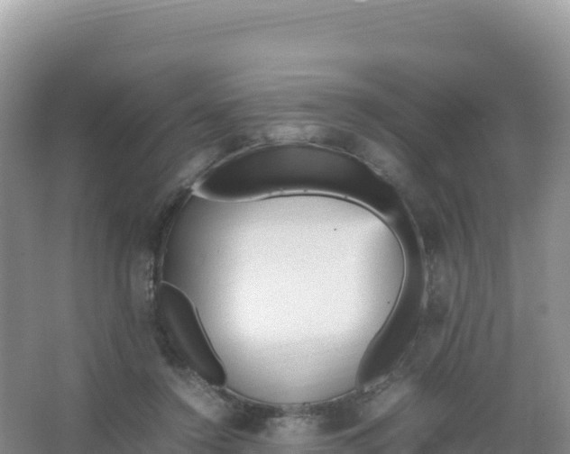 X0000066940356200604142029