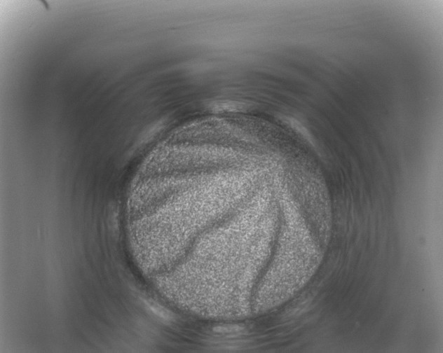 X0000066940357200604142029