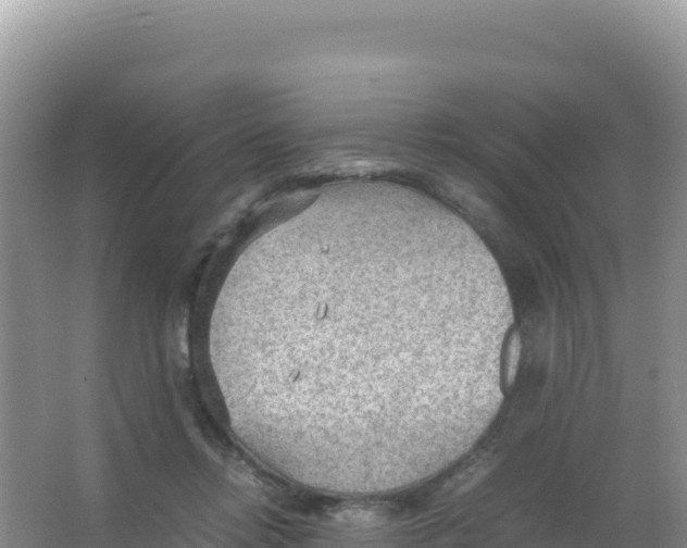 X0000066940358200604142029