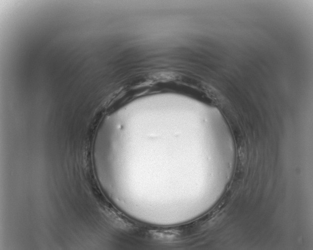 X0000066940359200604142029