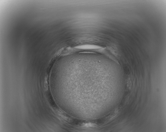 X0000066940360200604142029